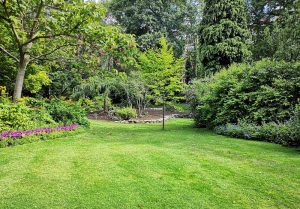 Optimiser l'expérience du jardin à Hannocourt